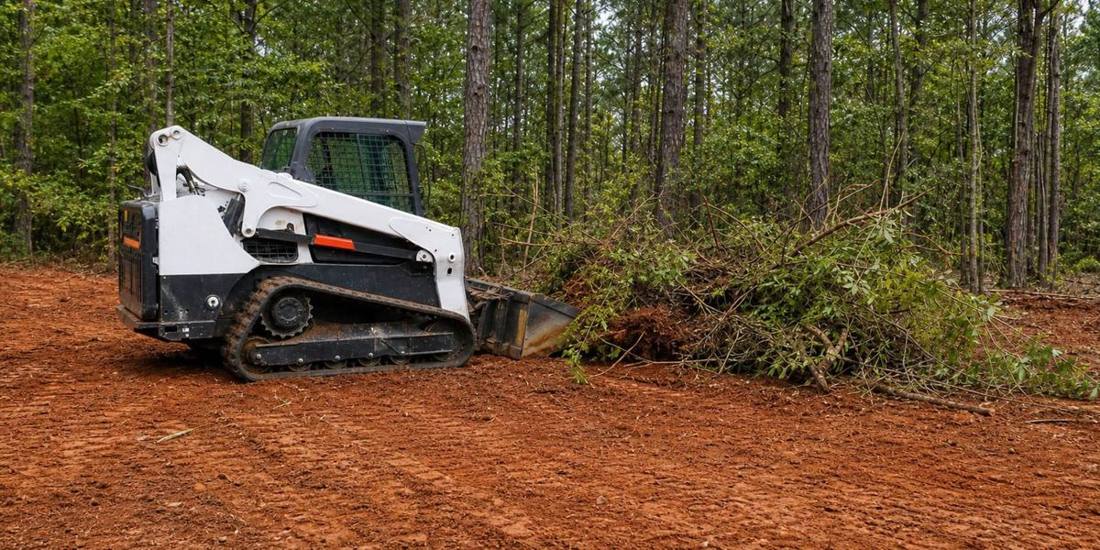 Compact track loader clearing brush on a wooded red-clay lot