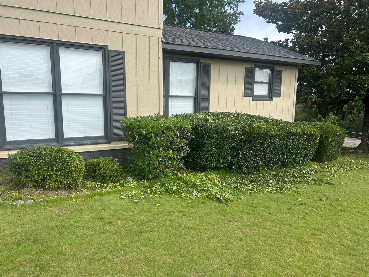 Freshly trimmed hedges and healthy lawn by Greenz Outdoor Services