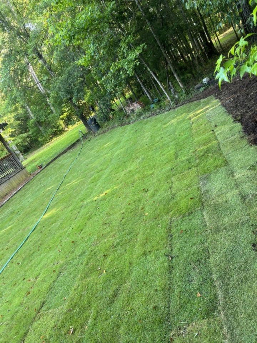 New sod laid beside a fresh mulch bed