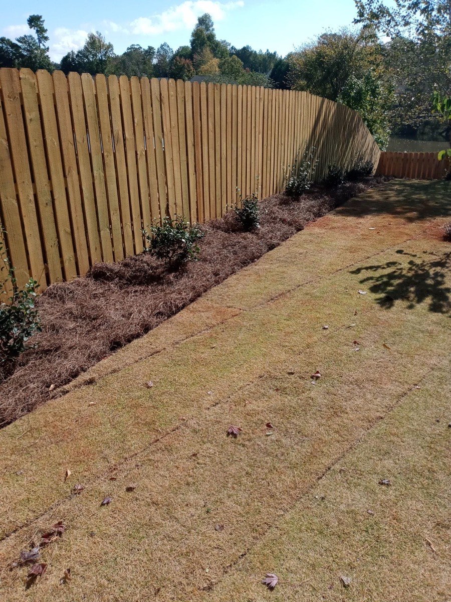New privacy fence with pine straw beds and young plantings